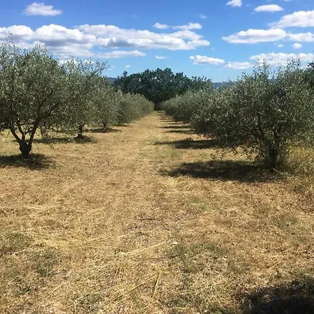 Up To 15 People, Between Gordes & Roussillon Croagnes