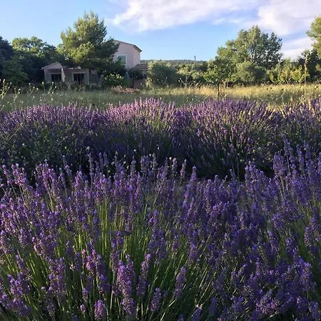 Up To 15 People, Between Gordes & Roussillon Holiday home *